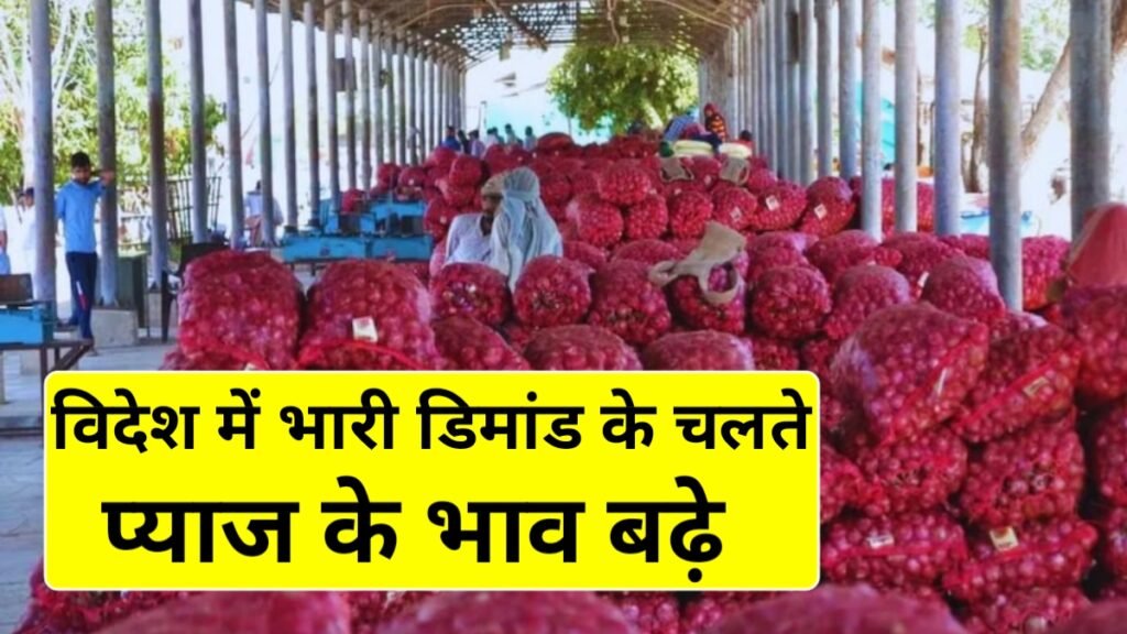 Onion Price Increase